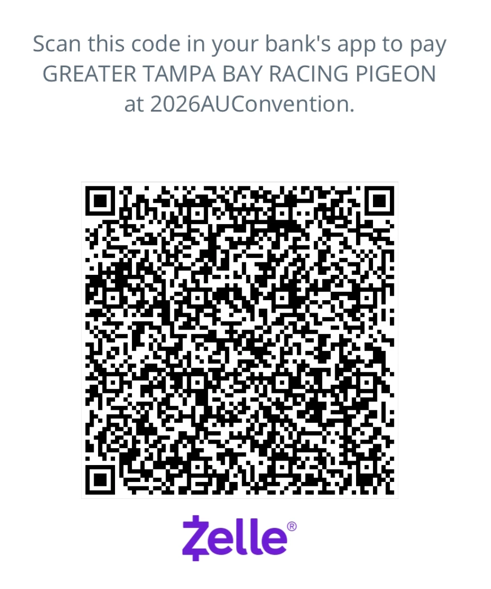 Zelle Payments for Tampa 2026